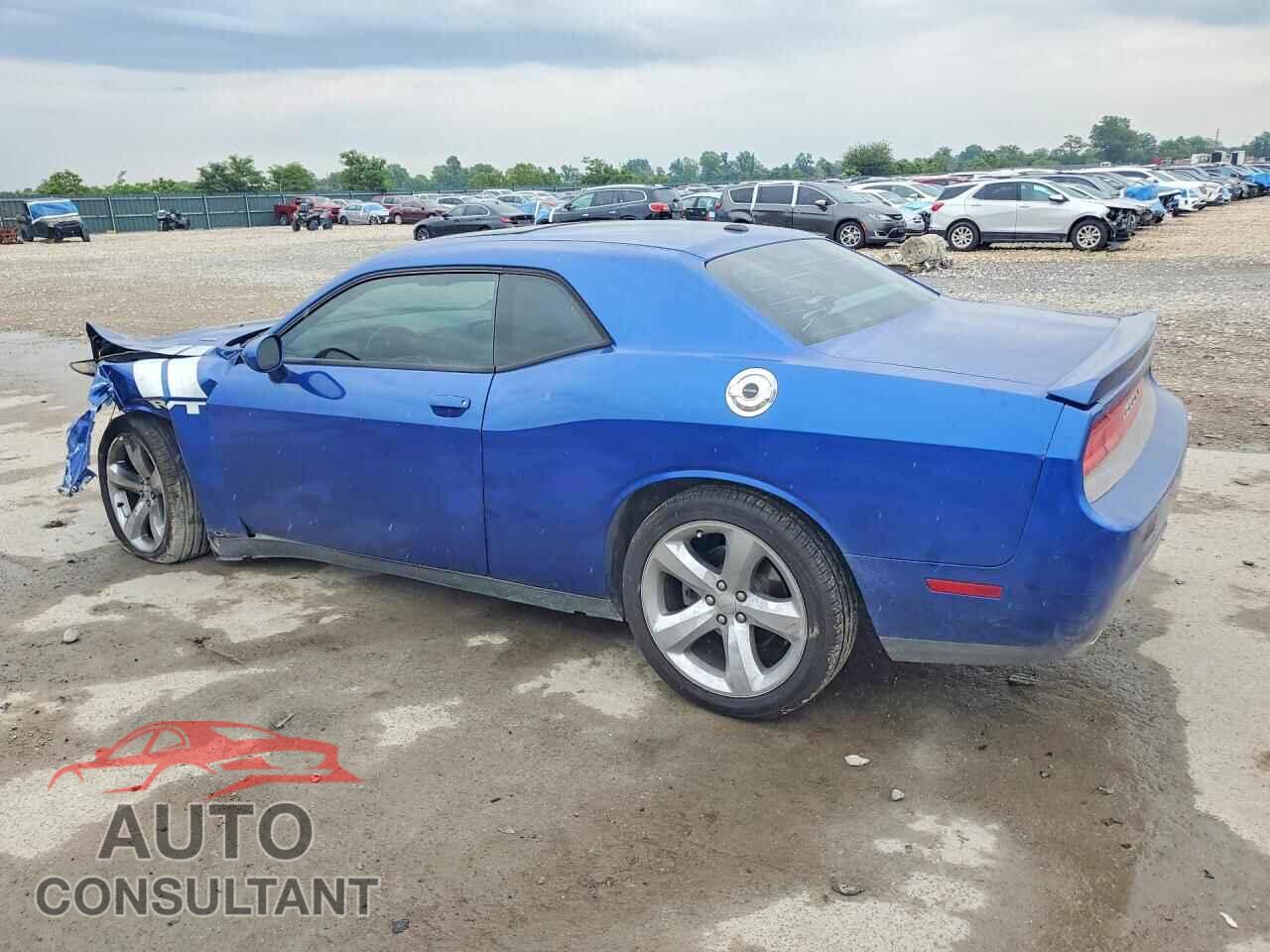 DODGE CHALLENGER 2012 - 2C3CDYBT6CH269874