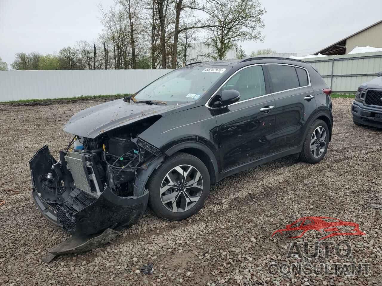 KIA SPORTAGE 2022 - KNDPN3AC8N7946386