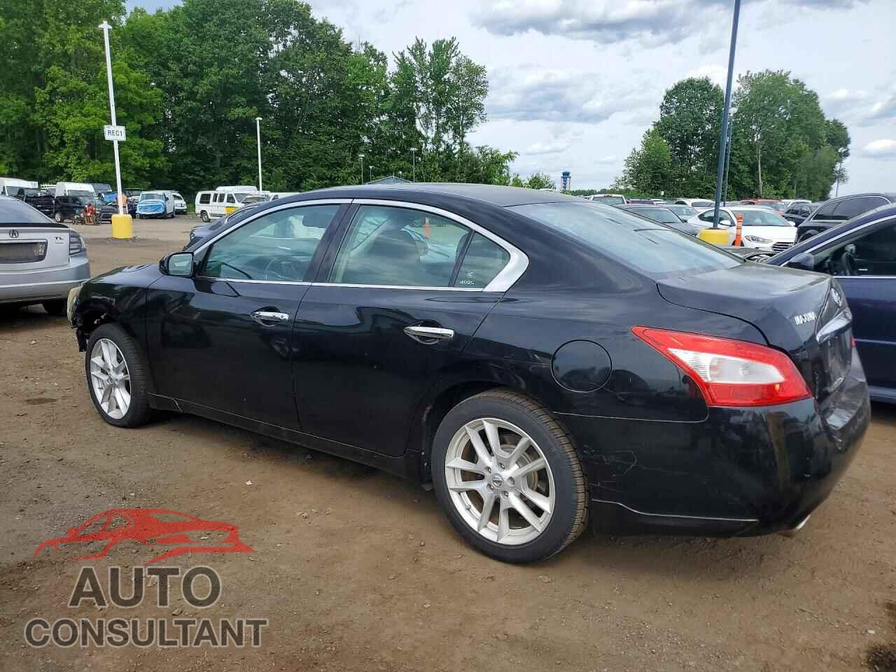 NISSAN MAXIMA 2011 - 1N4AA5AP5BC846867