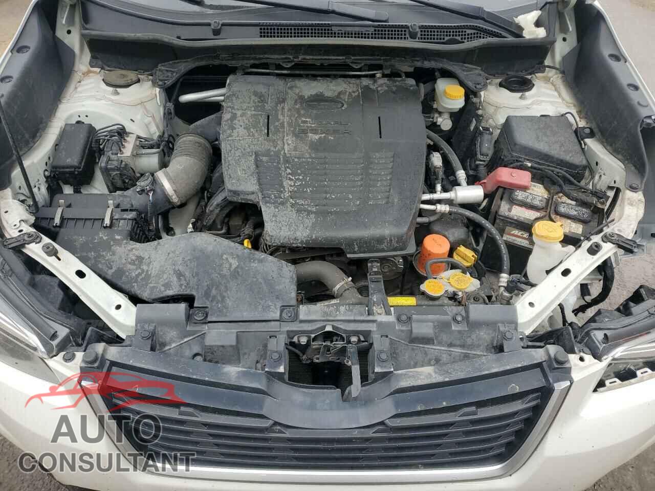SUBARU FORESTER 2019 - JF2SKAGC8KH481453