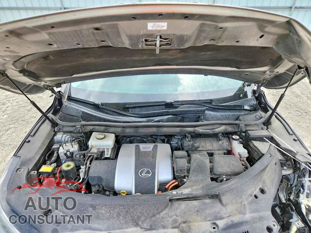 LEXUS RX450 2019 - 2T2BGMCA9KC030280