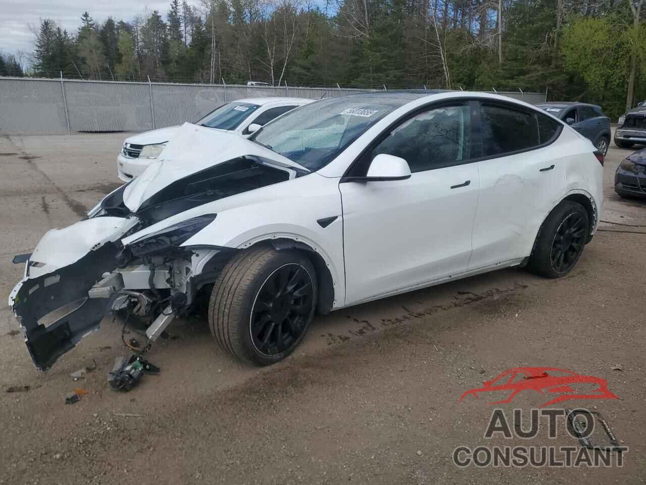 TESLA MODEL Y 2022 - 7SAYGDEE6NF548669
