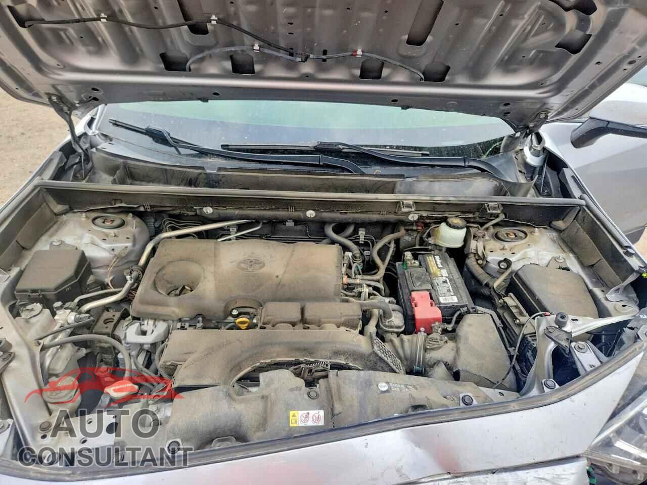 TOYOTA RAV4 2019 - JTMP1RFV9KD523774