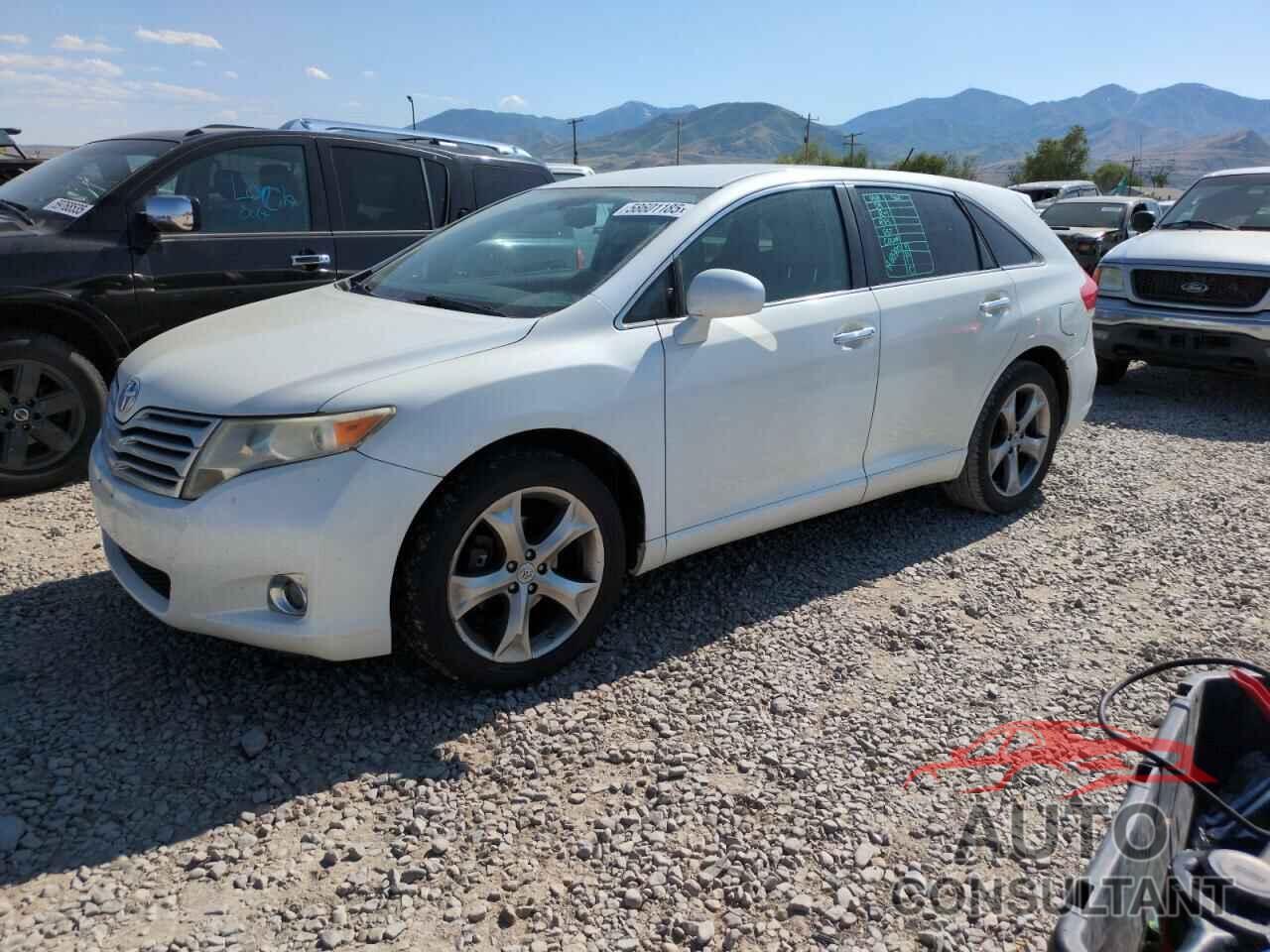 TOYOTA VENZA 2009 - 4T3BK11AX9U009832