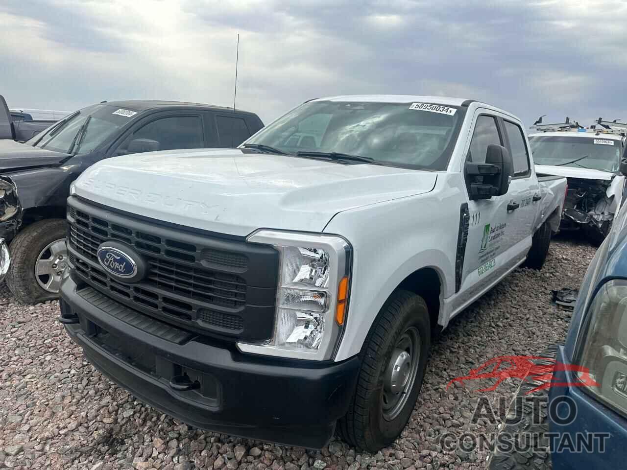 FORD F250 2023 - 1FT7W2AA5PEC44997