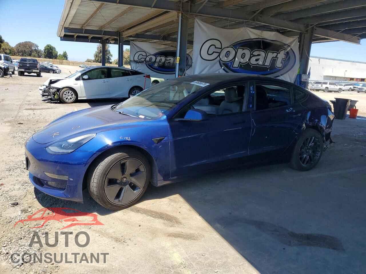 TESLA MODEL 3 2021 - 5YJ3E1EA0MF943146