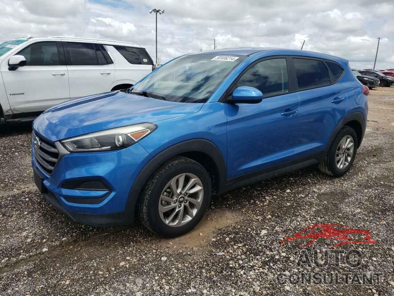 HYUNDAI TUCSON 2016 - KM8J23A49GU033613