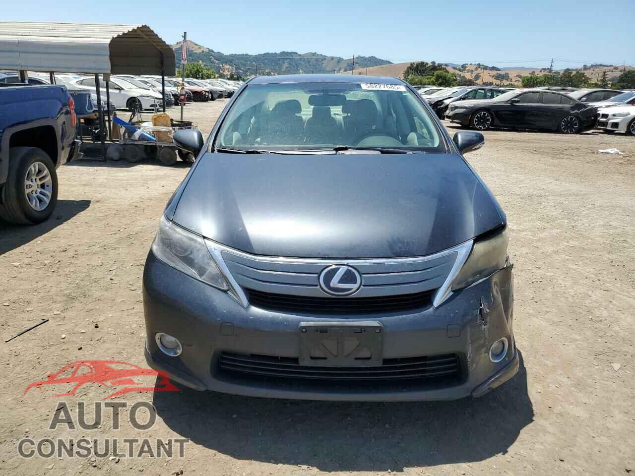 LEXUS HS 2010 - JTHBB1BA7A2028915