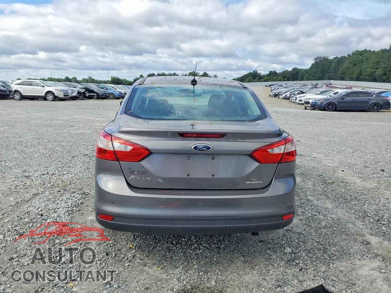 FORD FOCUS 2014 - 1FADP3F25EL191496