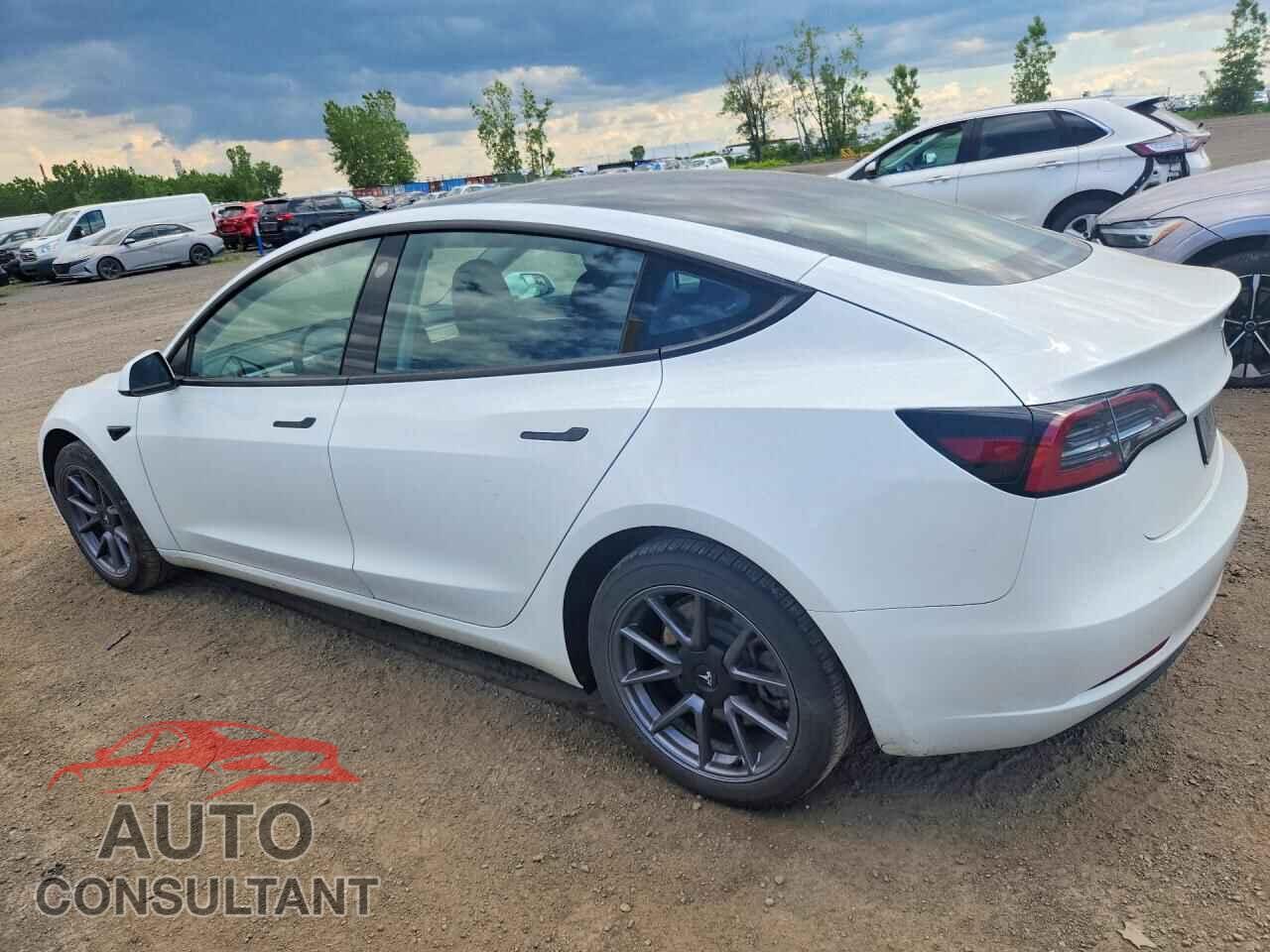 TESLA MODEL 3 2023 - LRW3E1EB2PC850216