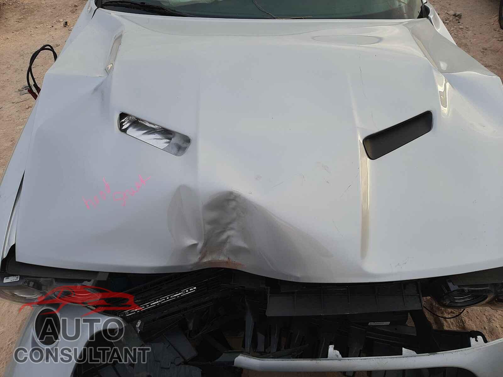 DODGE CHALLENGER 2019 - 2C3CDZAG2KH750696
