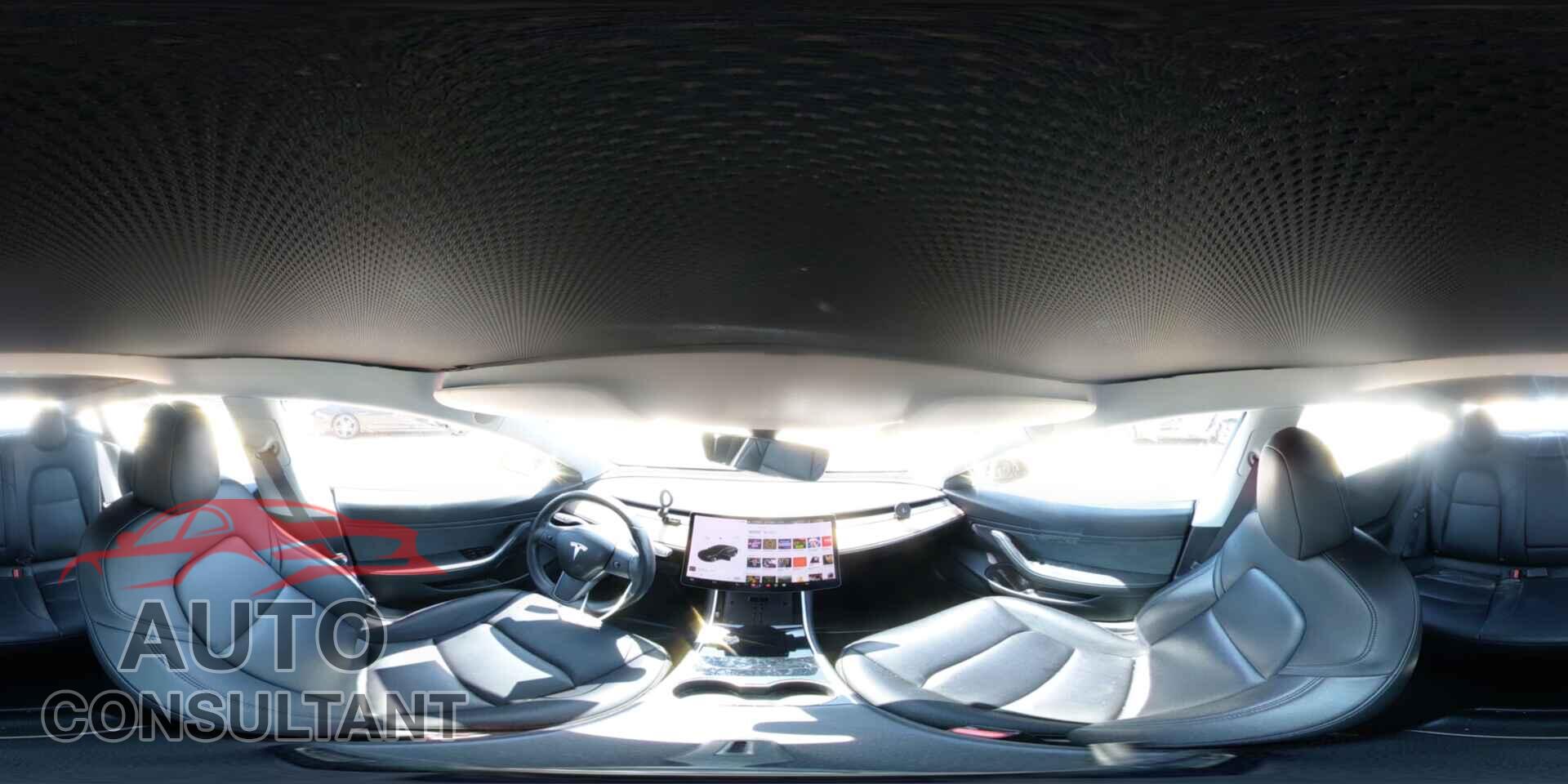 TESLA MODEL 3 2019 - 5YJ3E1EA3KF300707