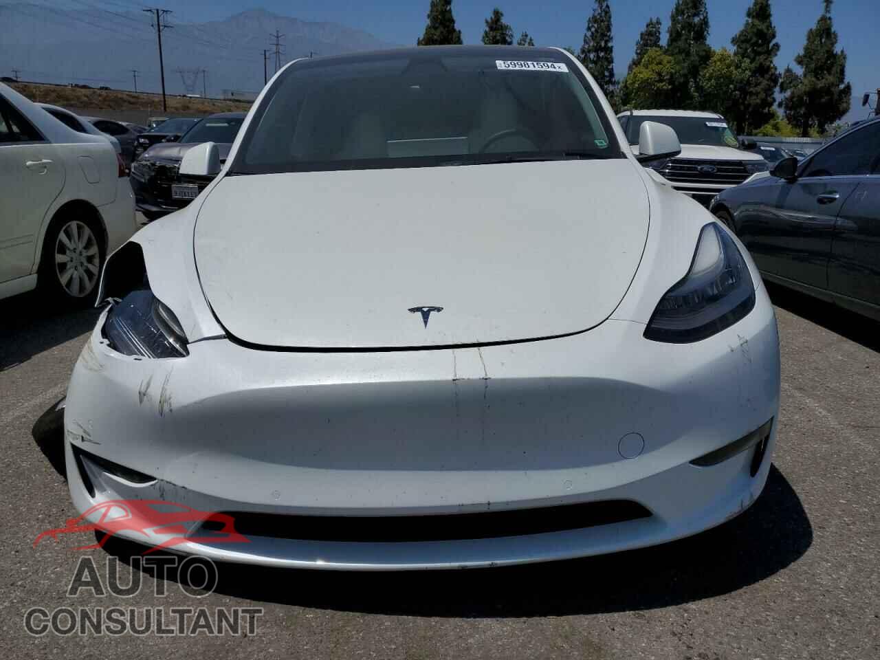 TESLA MODEL Y 2022 - 7SAYGAEE5NF310410