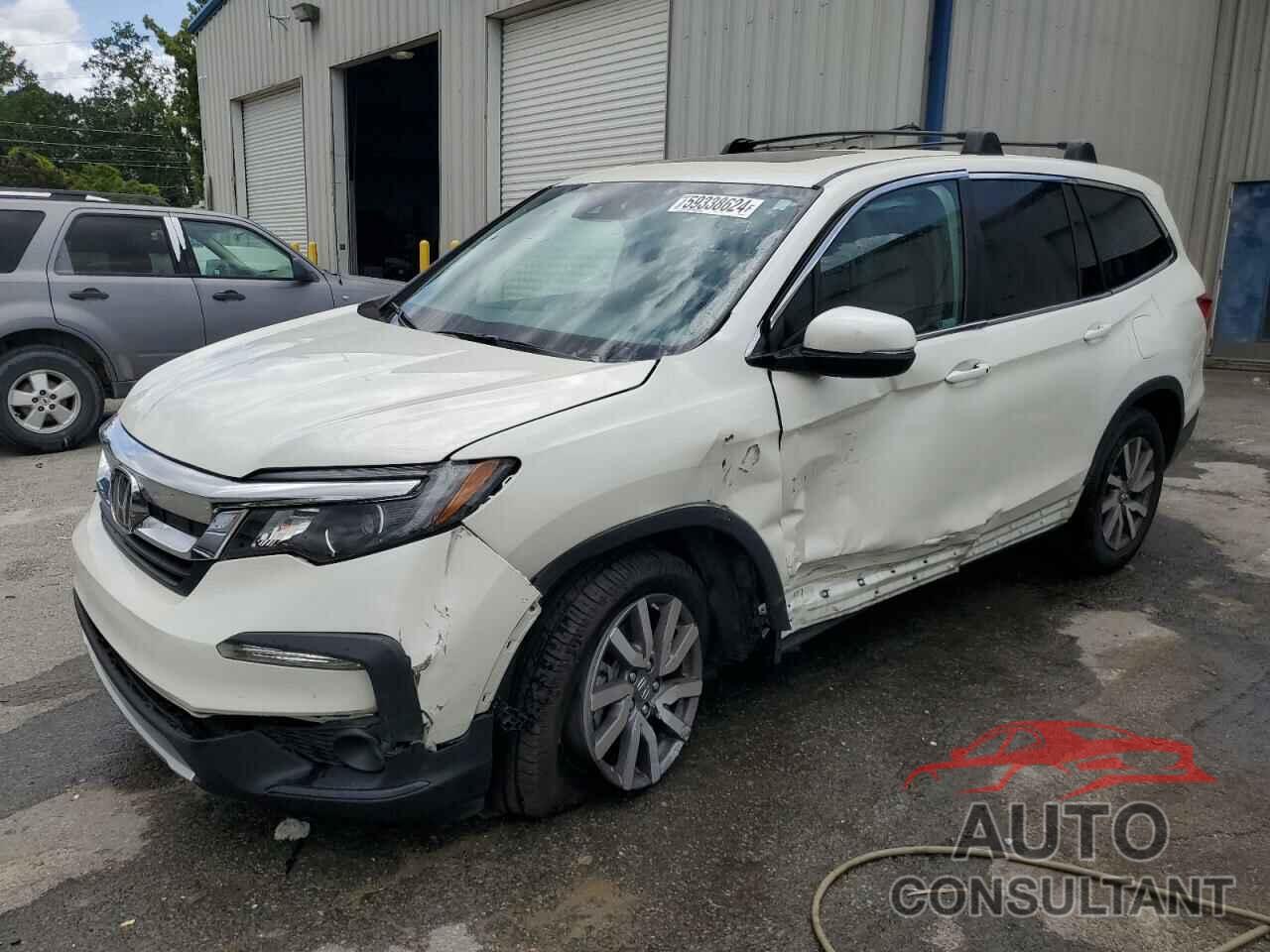 HONDA PILOT 2019 - 5FNYF6H4XKB044412