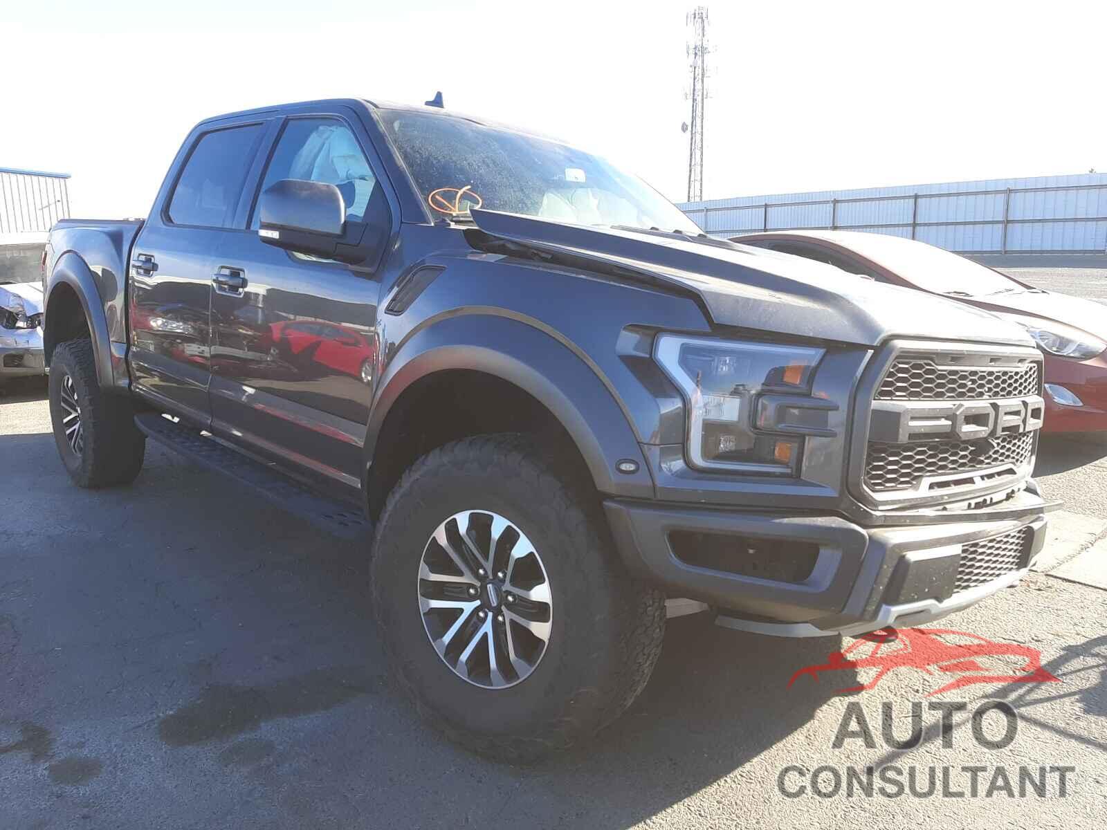 FORD F150 SVT 2019 - 1FTFW1RGXKFB46386