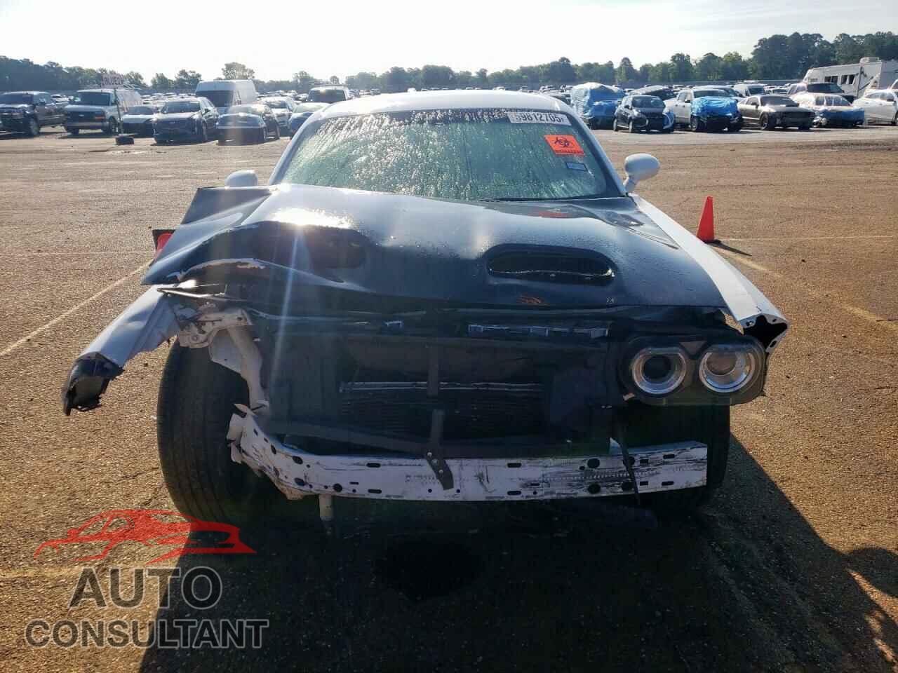 DODGE CHALLENGER 2014 - 2C3CDYBTXEH153483