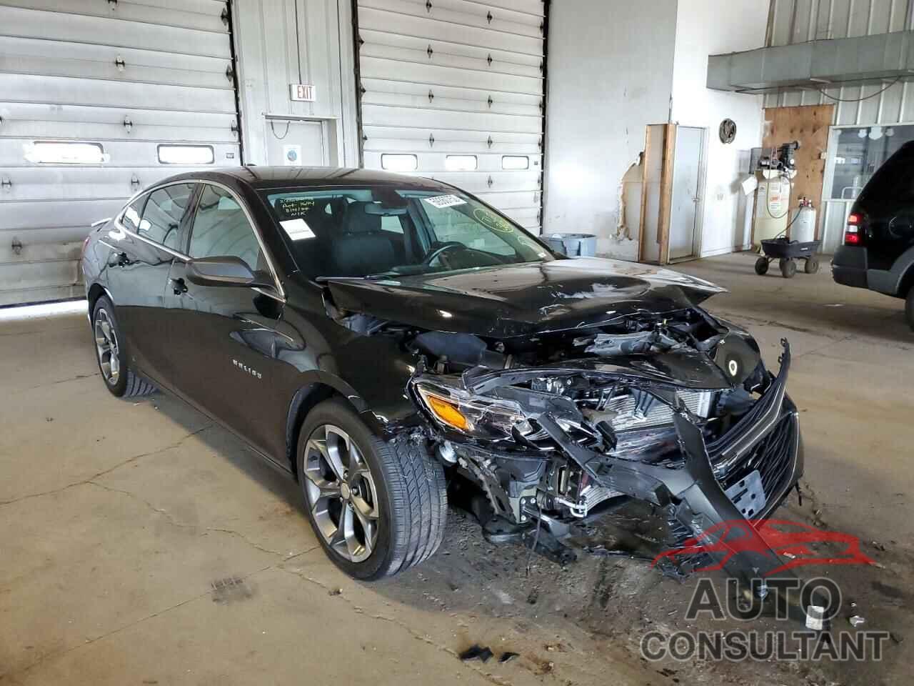CHEVROLET MALIBU 2019 - 1G1ZG5ST4KF201884
