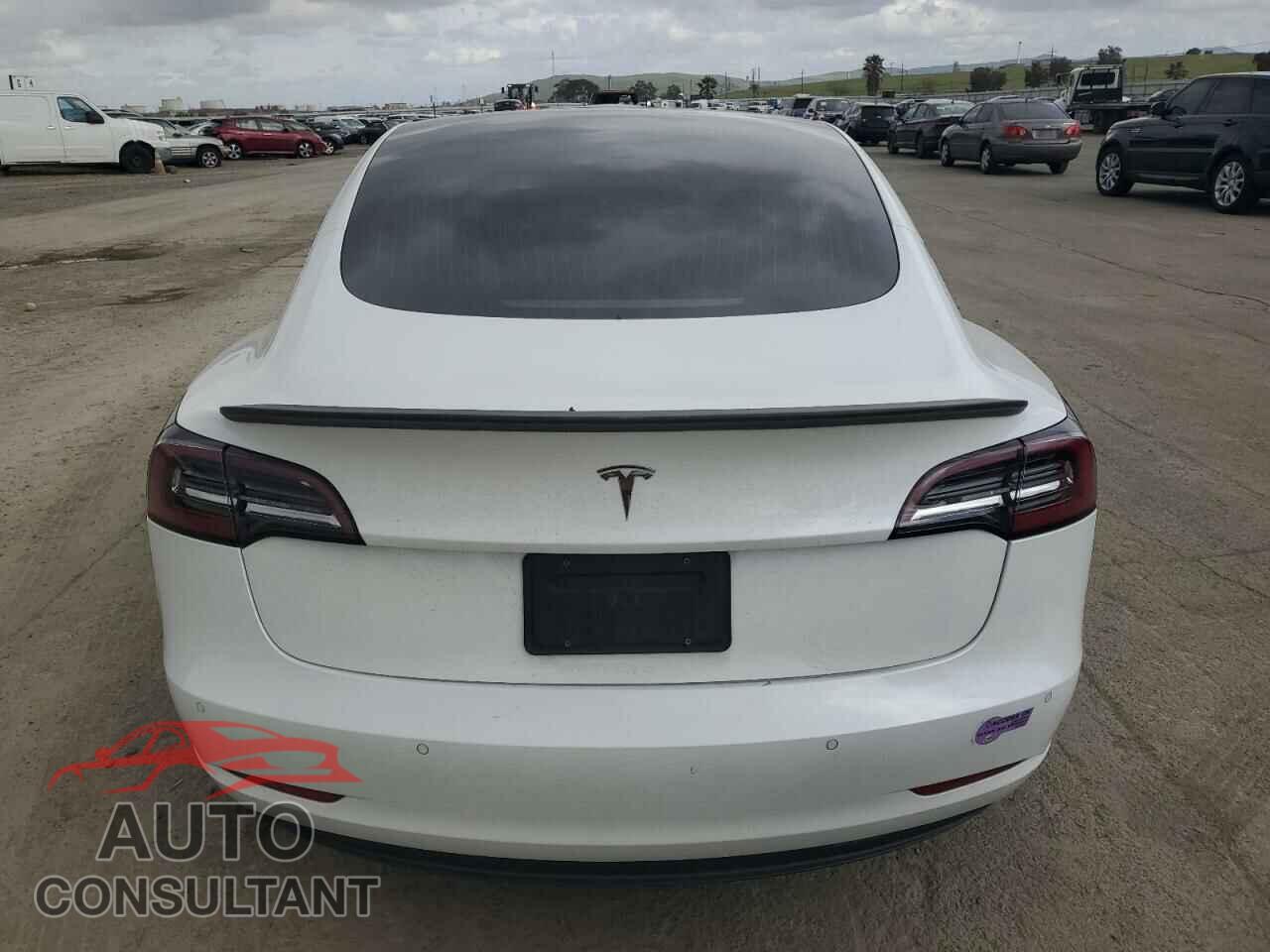 TESLA MODEL 3 2019 - 5YJ3E1EA8KF412886
