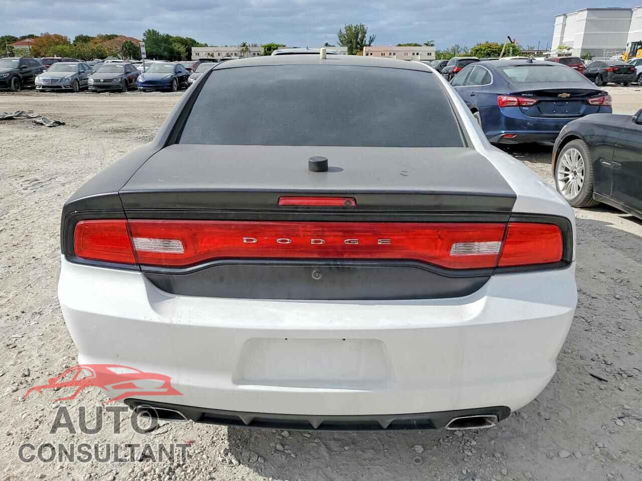 DODGE CHARGER 2013 - 2C3CDXAG2DH670614