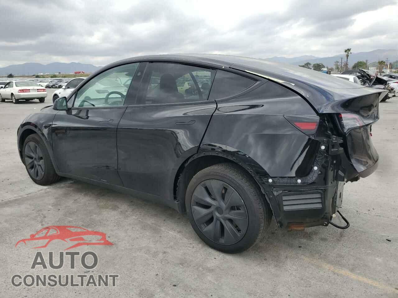 TESLA MODEL Y 2024 - 7SAYGDEEXRF209029