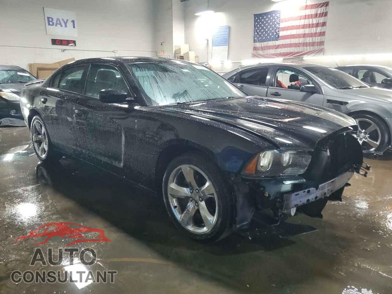 DODGE CHARGER 2014 - 2C3CDXHG2EH202244