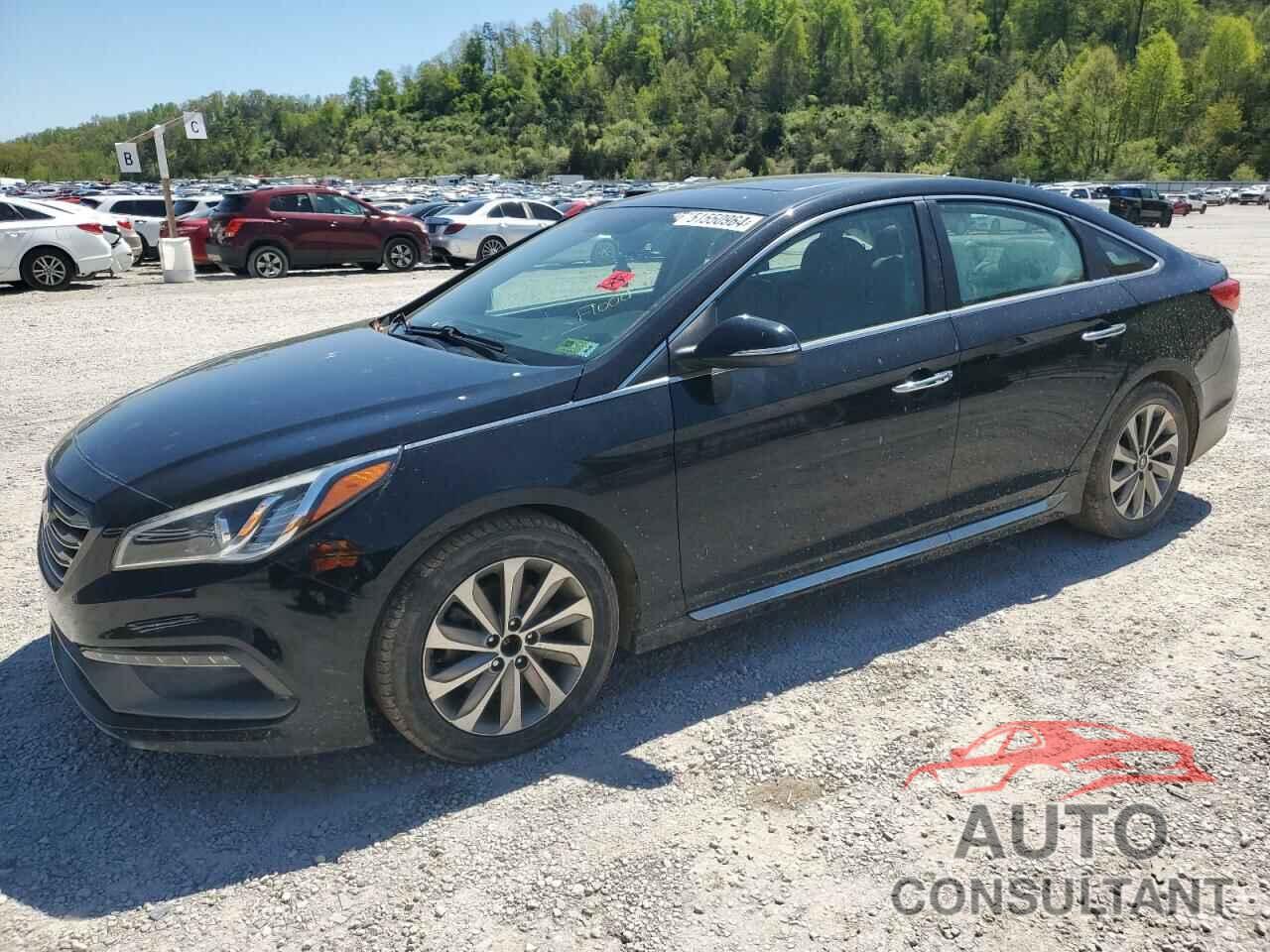 HYUNDAI SONATA 2016 - 5NPE34AF9GH411465