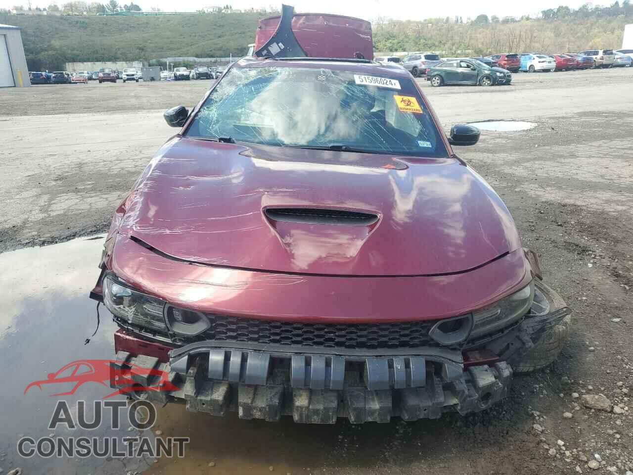 DODGE CHARGER 2019 - 2C3CDXHG9KH607724