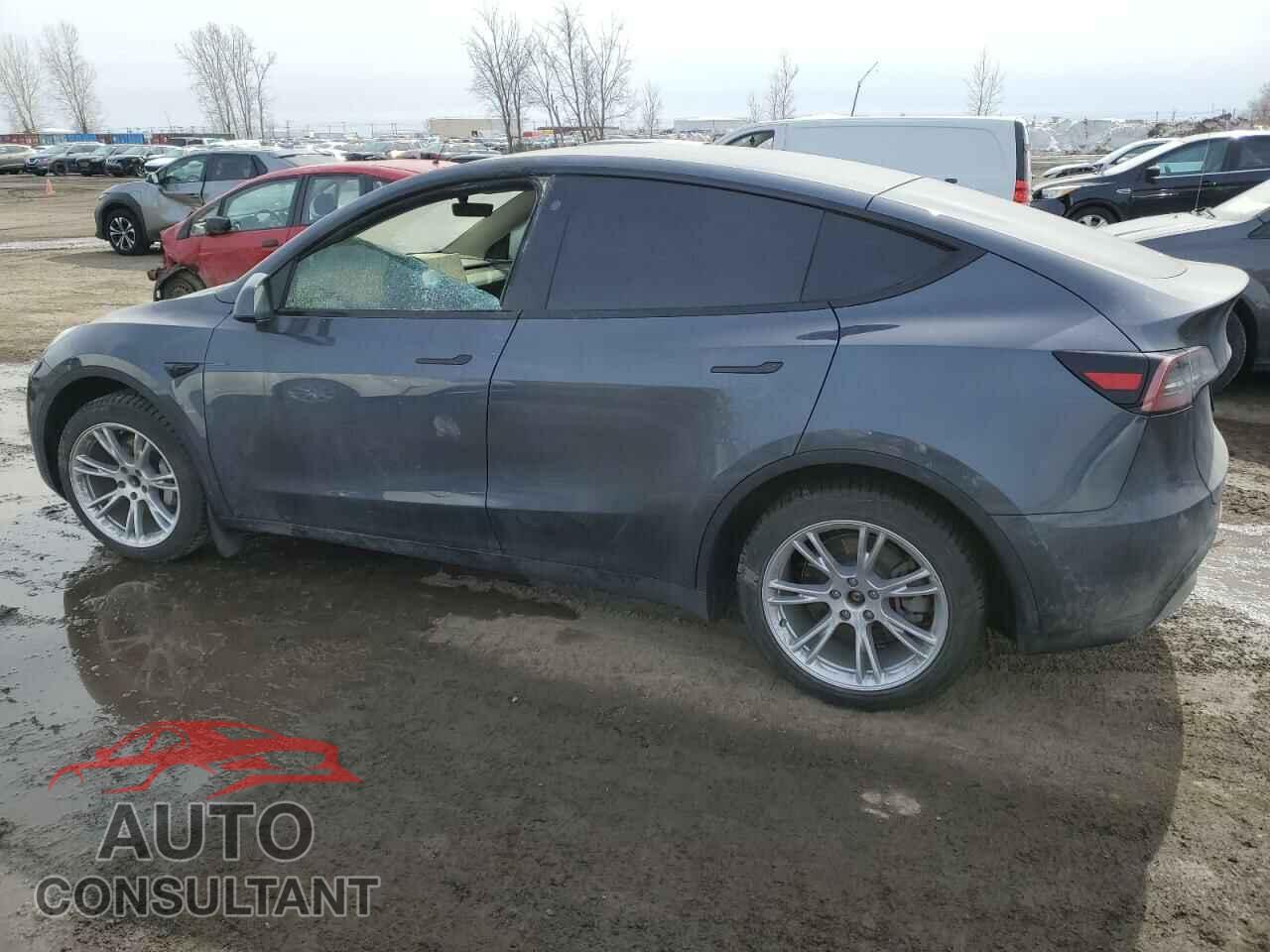 TESLA MODEL Y 2023 - LRWYGDFD6PC163418