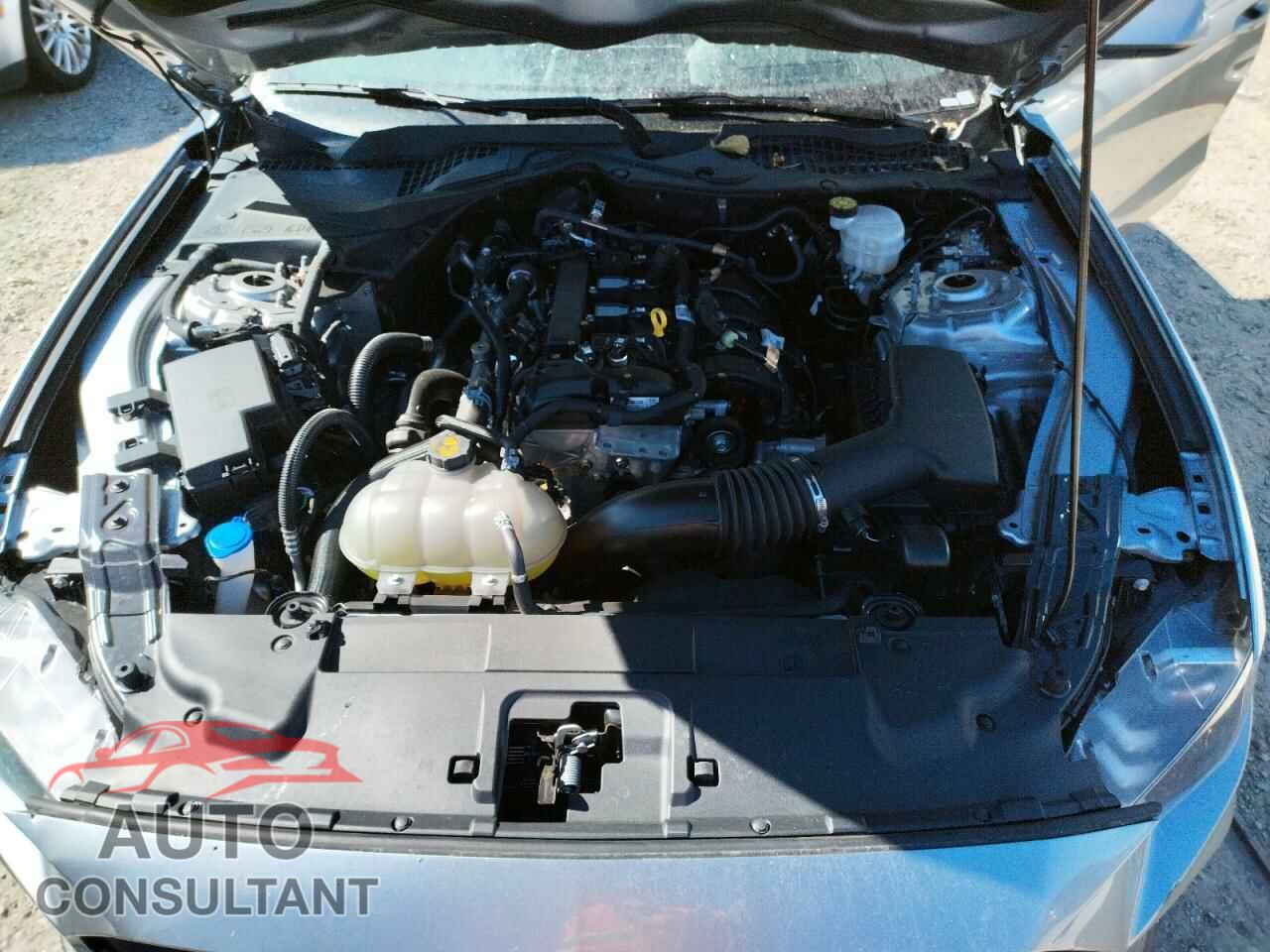 FORD MUSTANG 2022 - 1FA6P8TH8N5105231