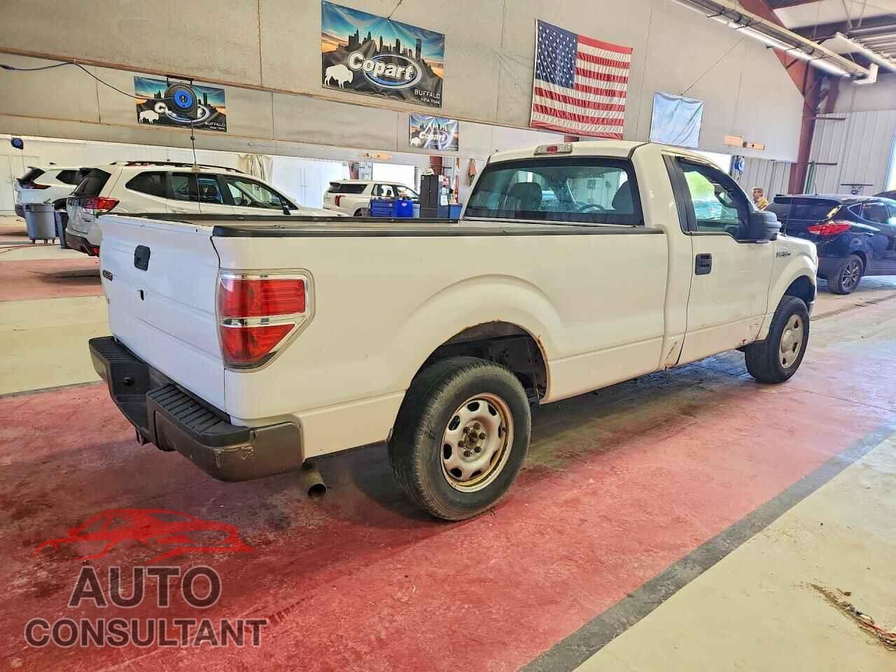 FORD F150 2013 - 1FTNF1CF8DKD46107