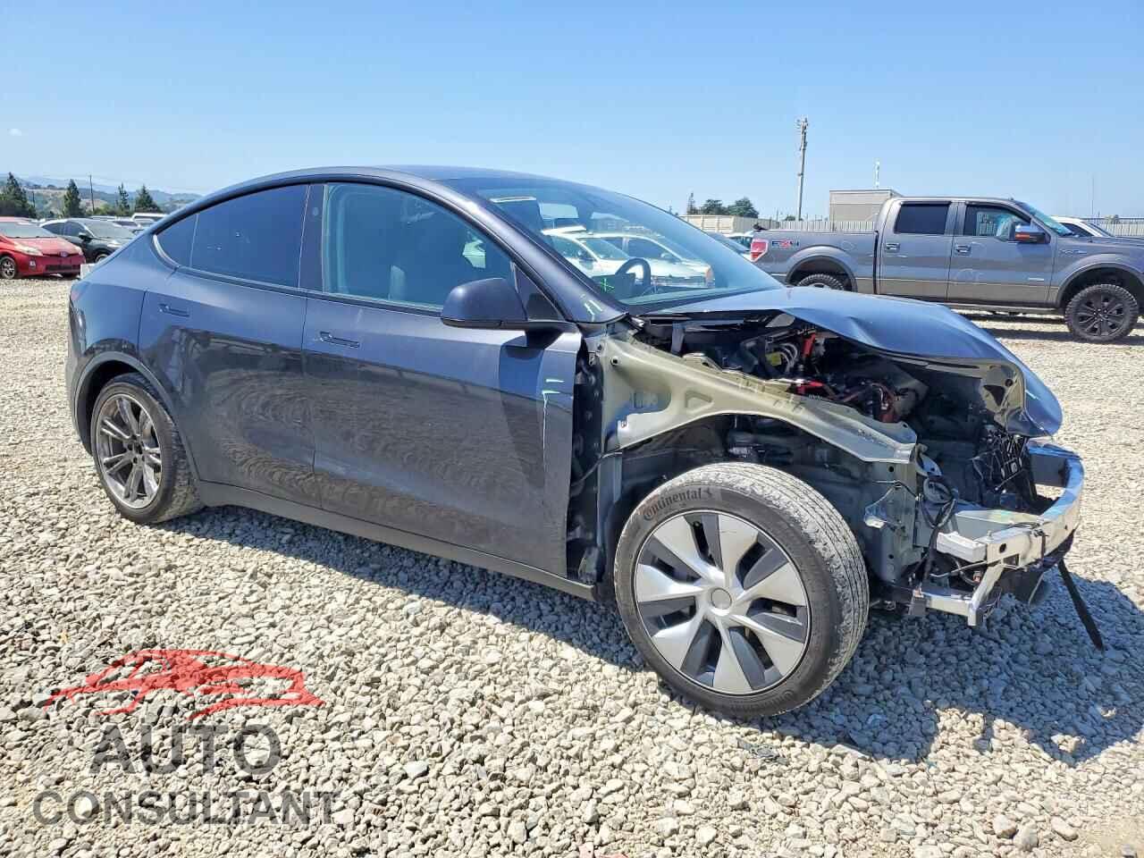 TESLA MODEL Y 2024 - 7SAYGAEE3RF993584