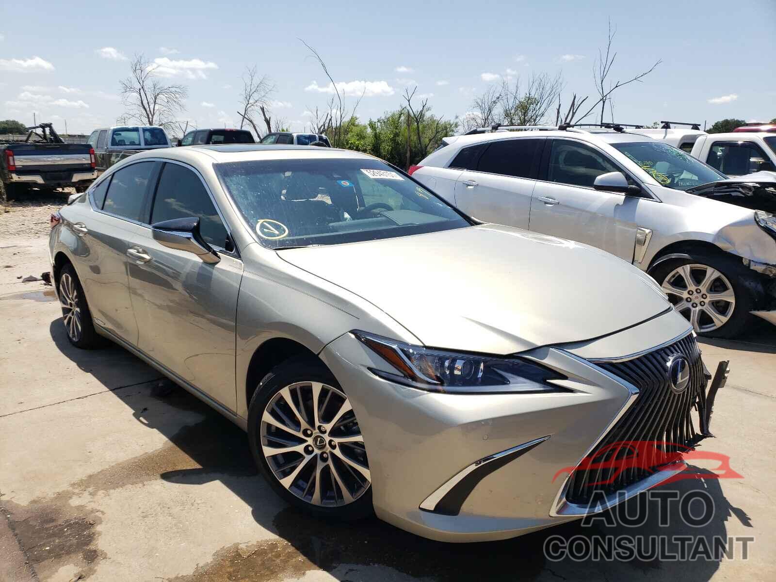 LEXUS ES300 2021 - 58ADA1C16MU010463