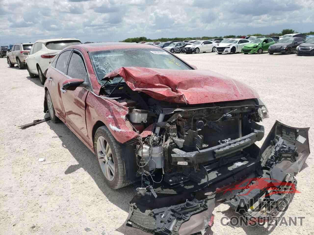 HYUNDAI SONATA 2018 - 5NPE34AF3JH644684
