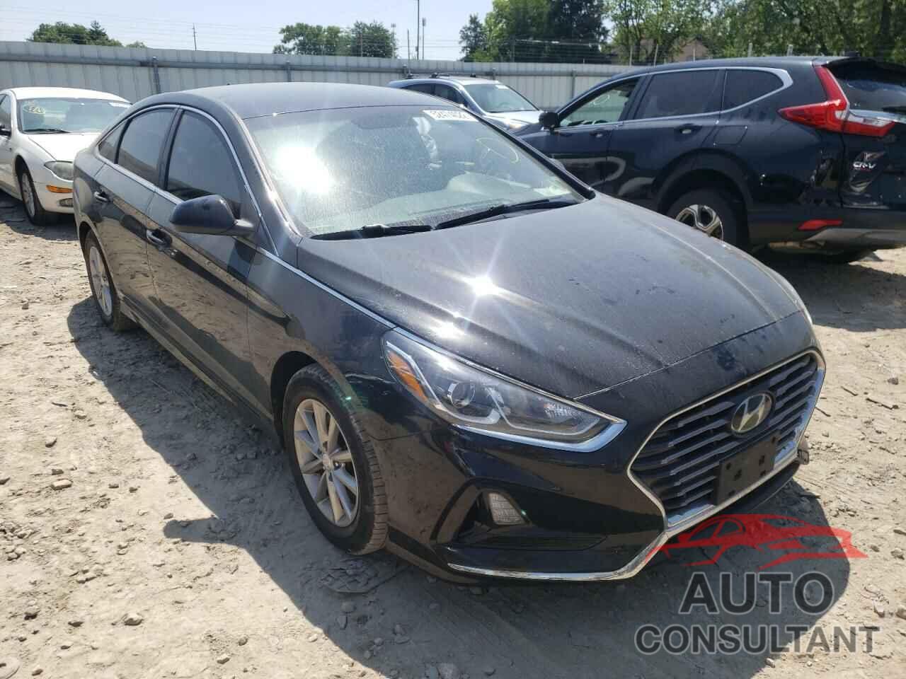 HYUNDAI SONATA 2019 - 5NPE24AF4KH773005