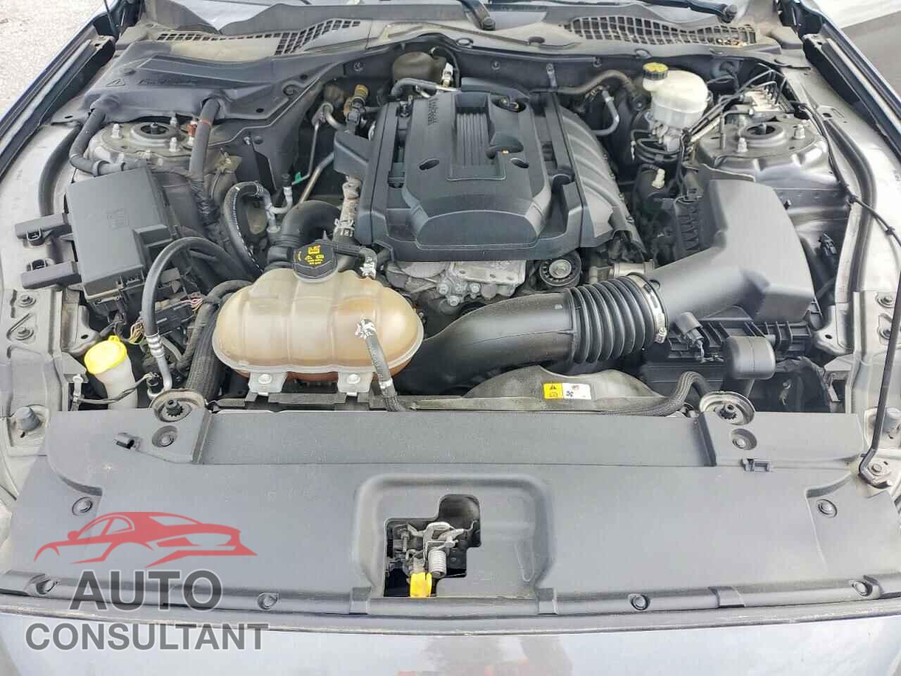 FORD ALL Models 2016 - 1FA6P8THXG5208427