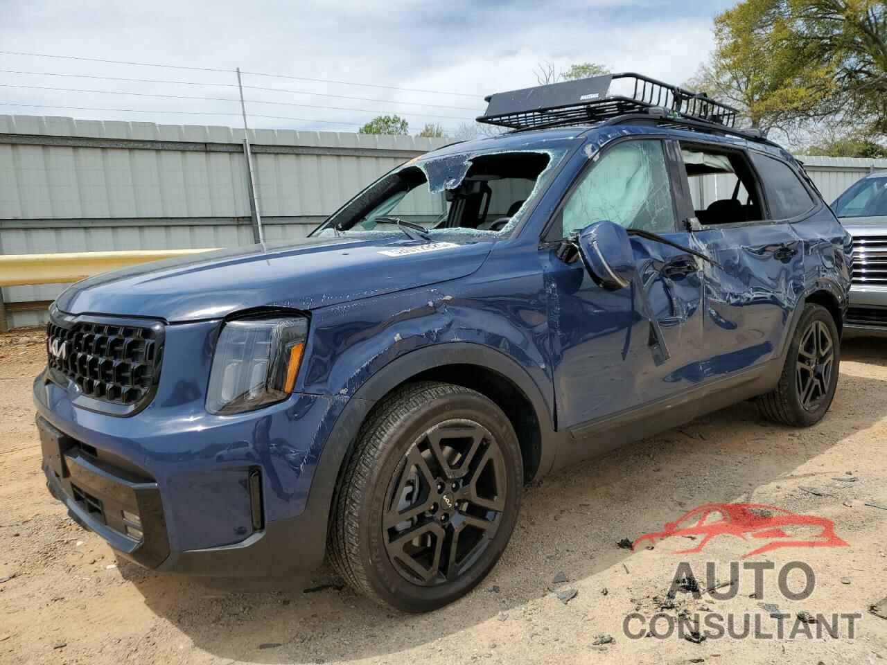 KIA TELLURIDE 2024 - 5XYP5DGC8RG438666