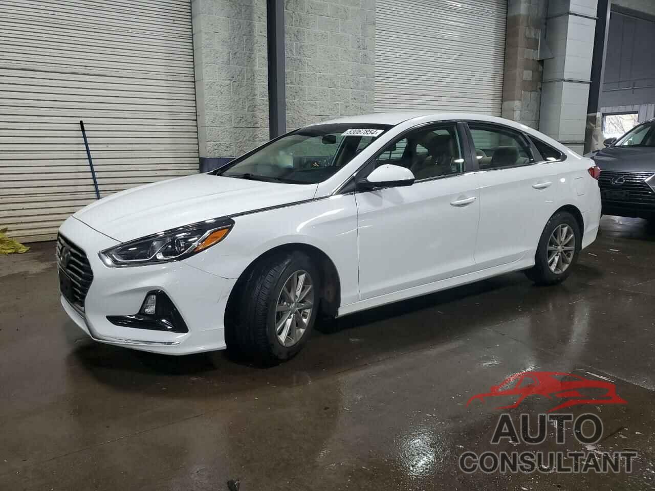 HYUNDAI SONATA 2018 - 5NPE24AF0JH664426