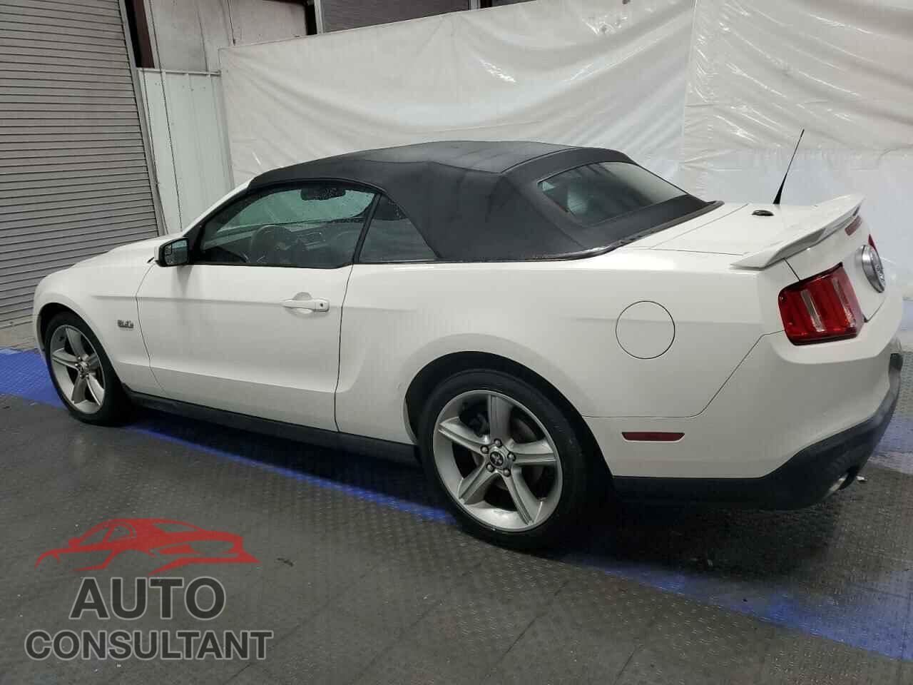 FORD MUSTANG 2011 - 1ZVBP8FF4B5155281