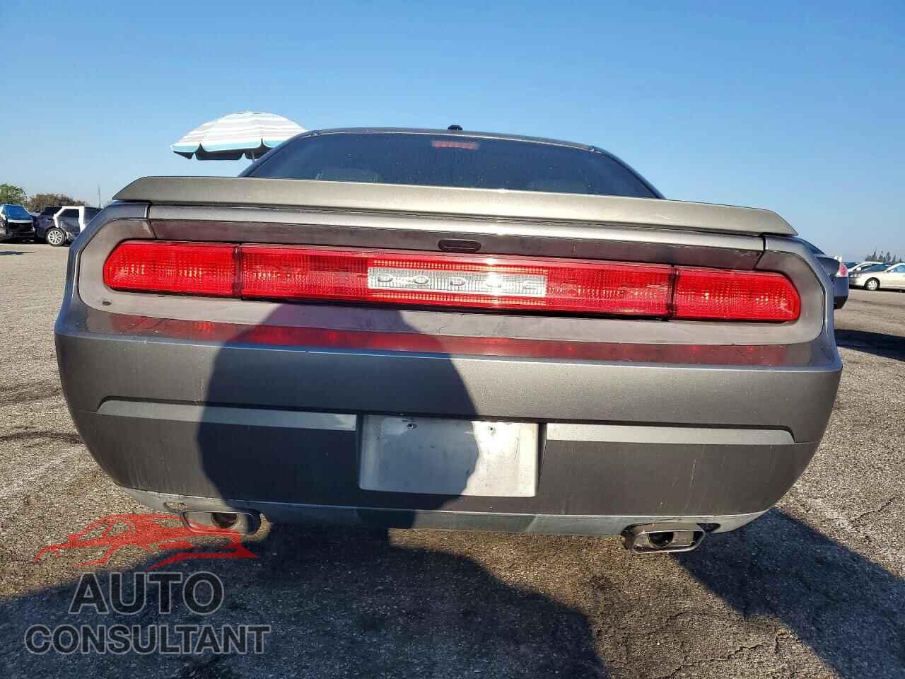 DODGE CHALLENGER 2012 - 2C3CDYBT8CH294937