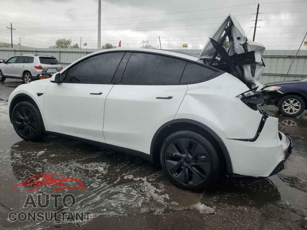 TESLA MODEL Y 2024 - 7SAYGDEE2RF160327