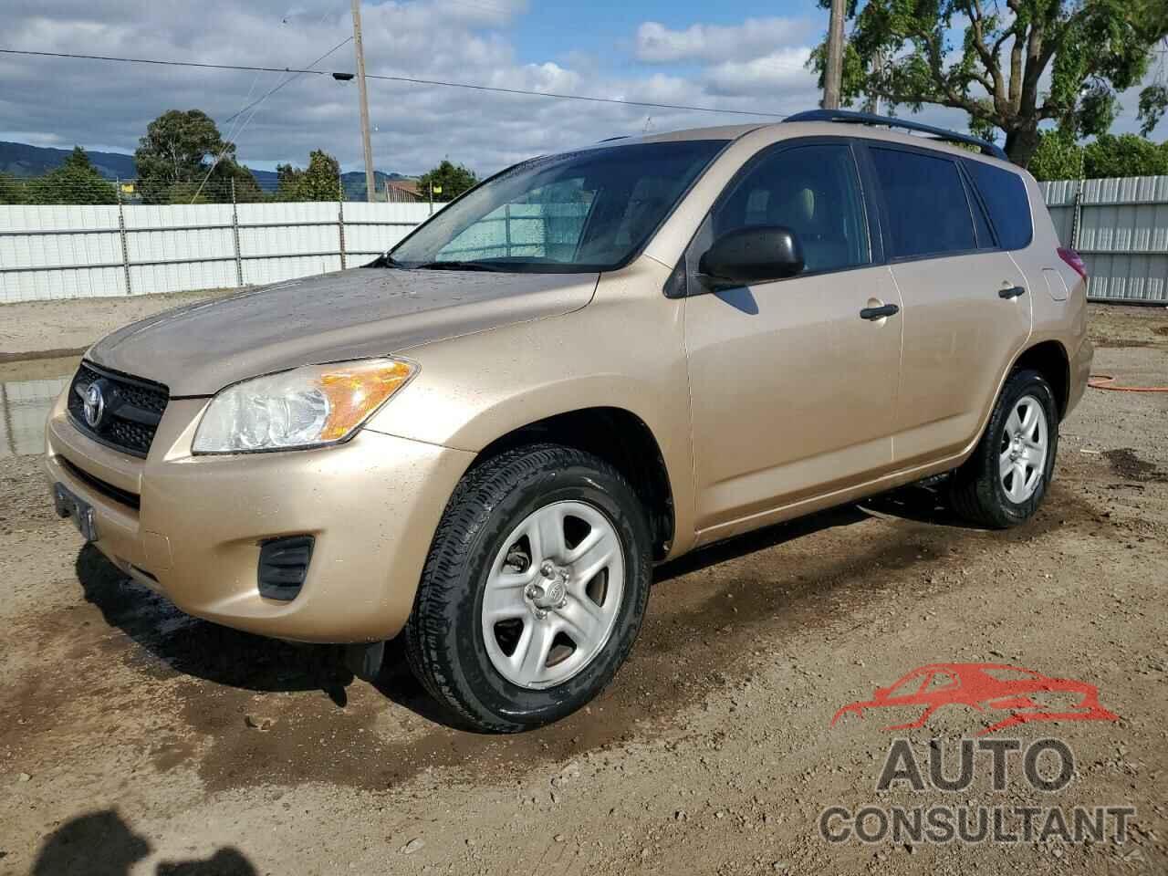 TOYOTA RAV4 2011 - 2T3BF4DV3BW144922