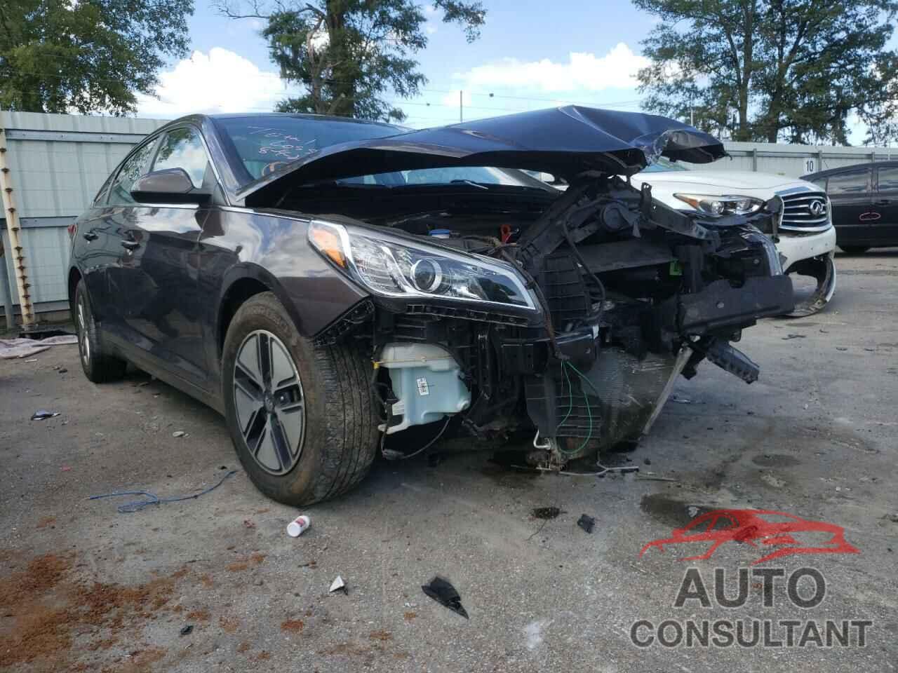 HYUNDAI SONATA 2016 - 5NPE24AF1GH279112