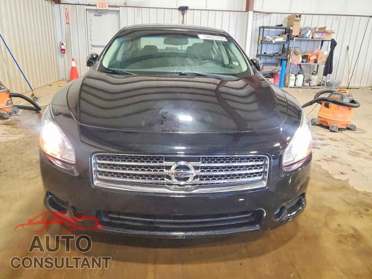 NISSAN MAXIMA 2009 - 1N4AA51E99C844693