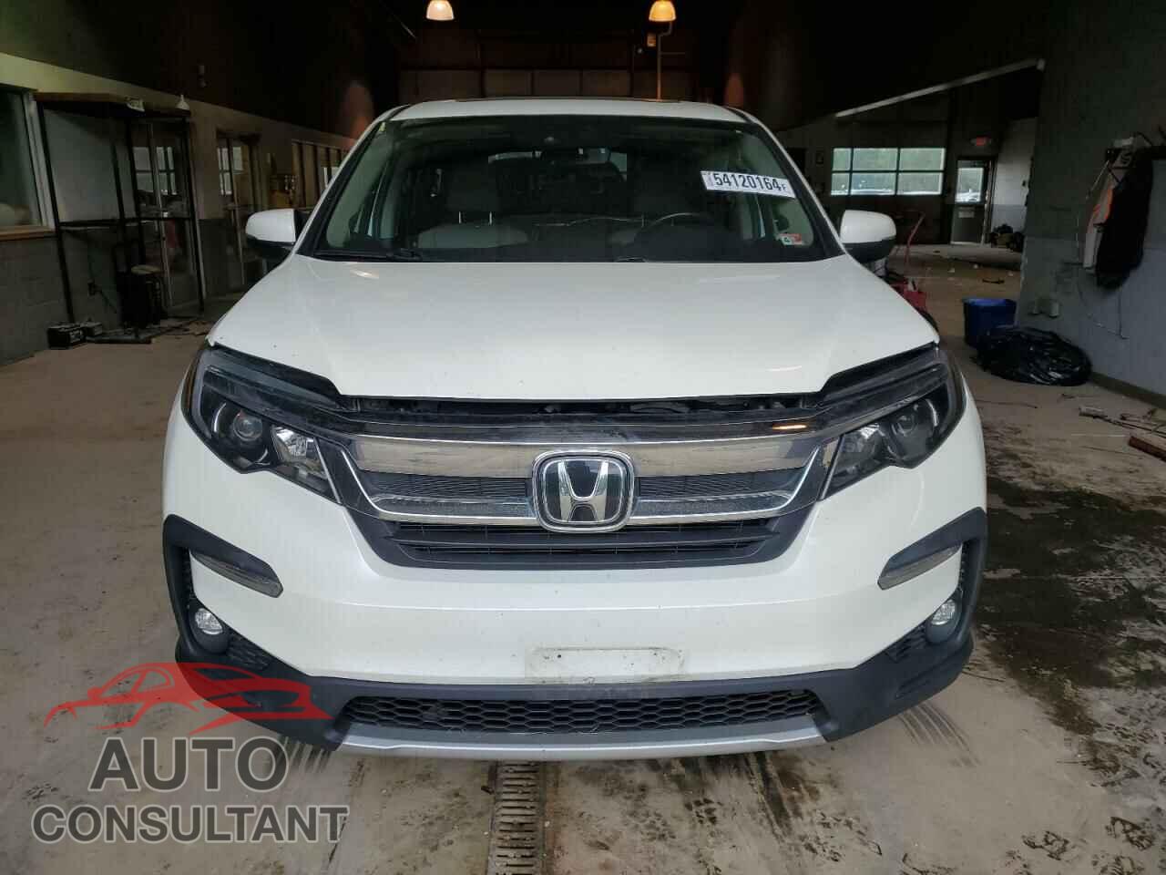 HONDA PILOT 2019 - 5FNYF6H52KB044784