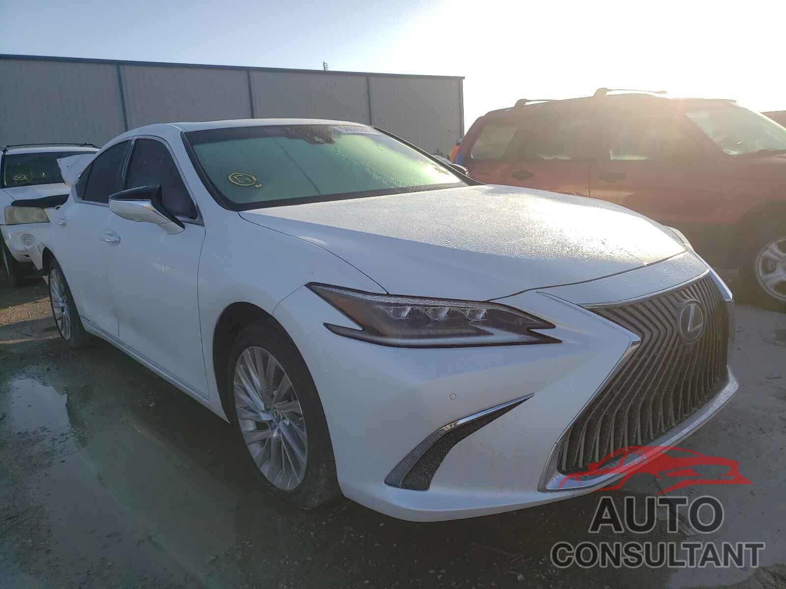 LEXUS ES300 2020 - 58AF21B13LU005114