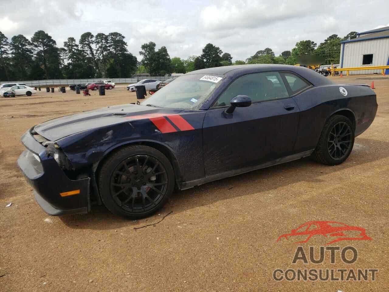 DODGE CHALLENGER 2013 - 2C3CDYAG3DH578949