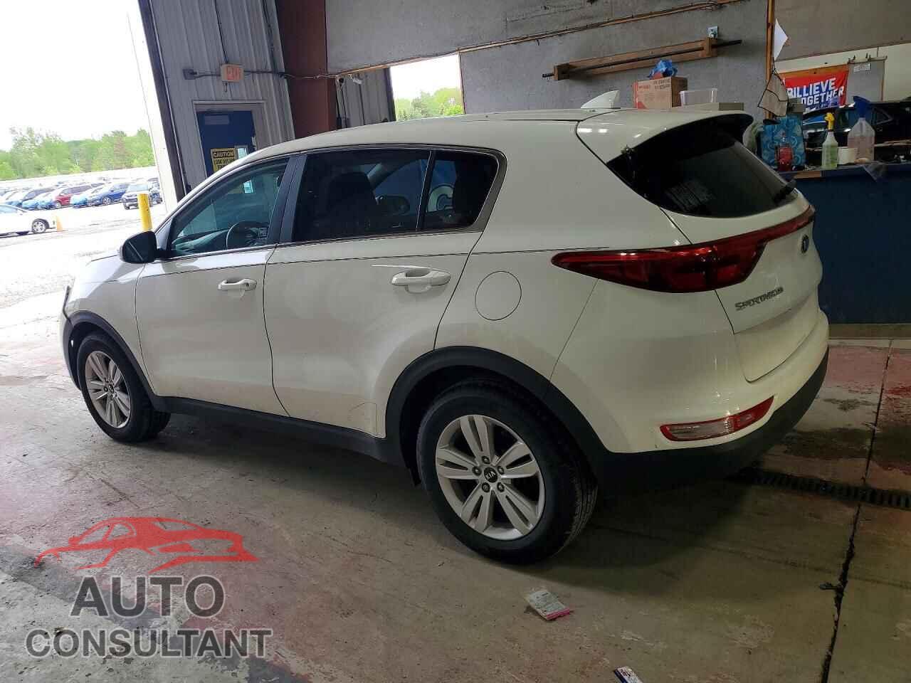 KIA SPORTAGE 2017 - KNDPM3AC7H7288874