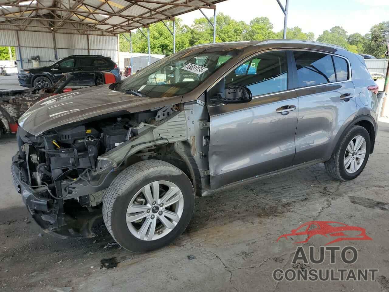 KIA SPORTAGE 2019 - KNDPM3ACXK7500710