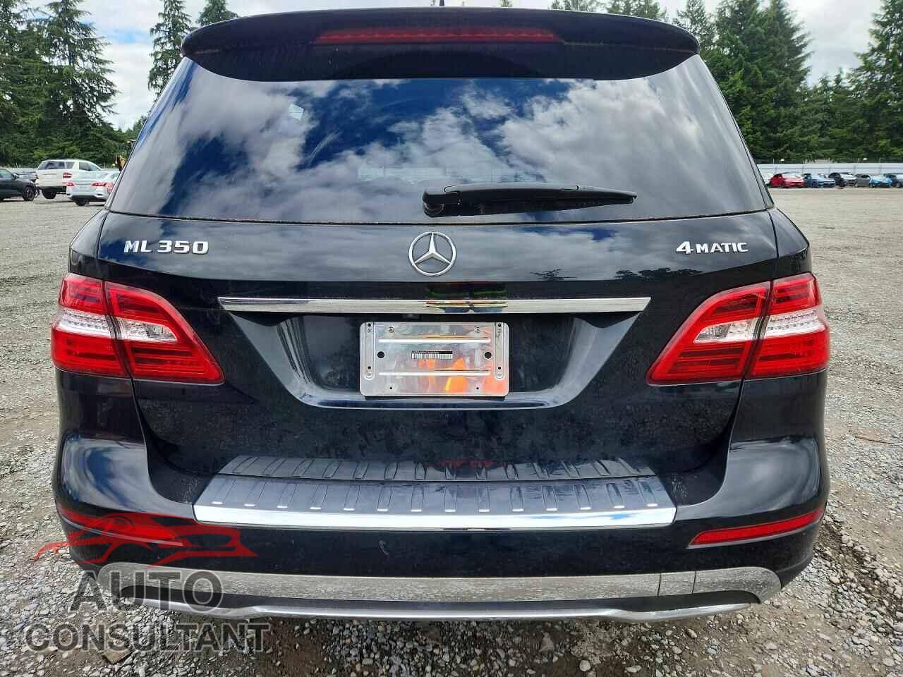 MERCEDES-BENZ M-CLASS 2012 - 4JGDA5HB4CA020506