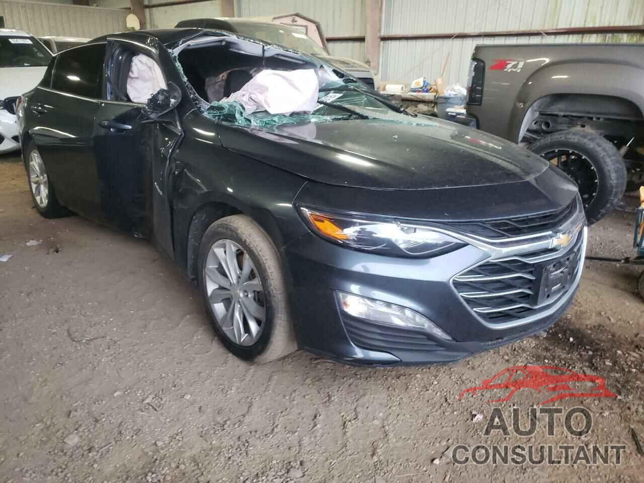 CHEVROLET MALIBU 2019 - 1G1ZD5ST1KF107390